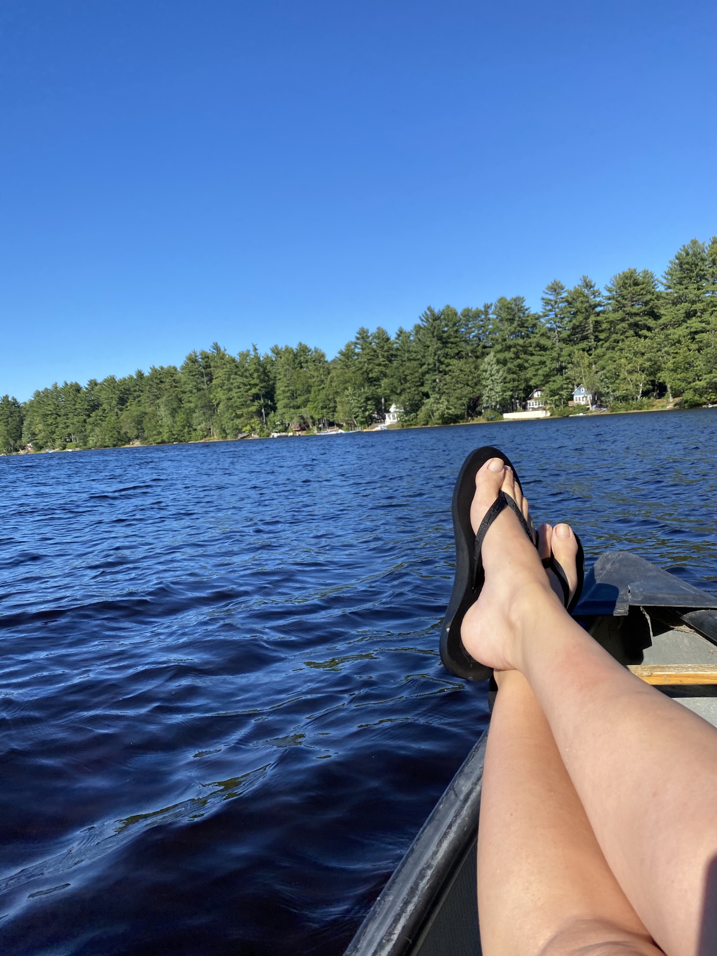 “Why Not” Wednesdays